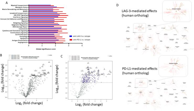 https://cdn.ncbi.nlm.nih.gov/pmc/blobs/24c8/12284698/c020382e92c7/gr4.jpg