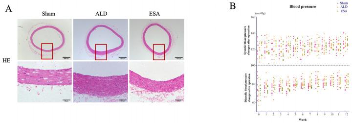 https://cdn.ncbi.nlm.nih.gov/pmc/blobs/24cb/11989480/59dd51ffb515/ijms-26-03345-g002.jpg