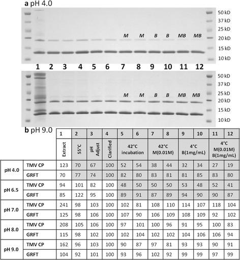 https://cdn.ncbi.nlm.nih.gov/pmc/blobs/24cc/4349730/083ef71acd16/12896_2015_120_Fig2_HTML.jpg