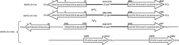 https://cdn.ncbi.nlm.nih.gov/pmc/blobs/24ce/2213677/728a2ec56f84/1471-2164-8-409-2.jpg