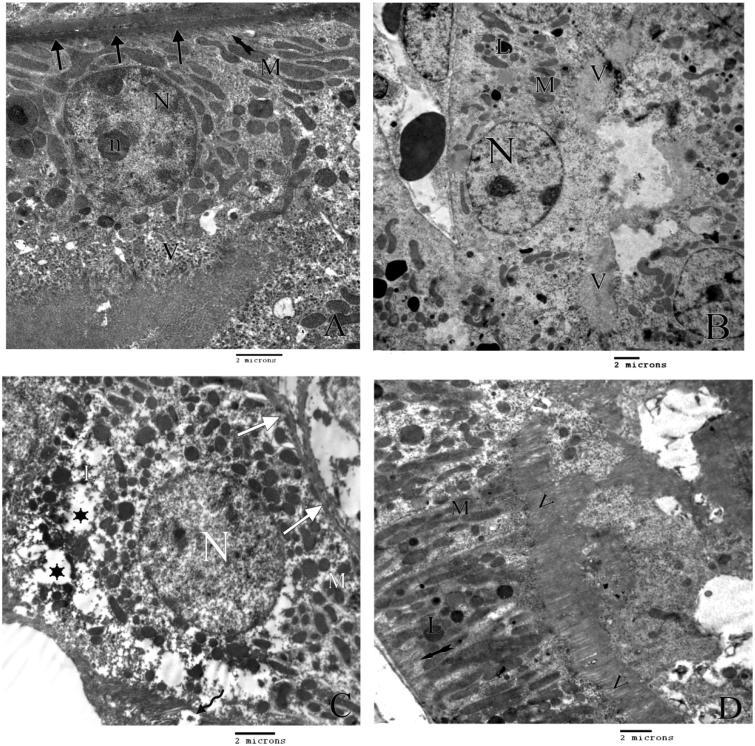 https://cdn.ncbi.nlm.nih.gov/pmc/blobs/24cf/6014501/34c02354bc5b/IRNF_A_1256321_F0003_B.jpg