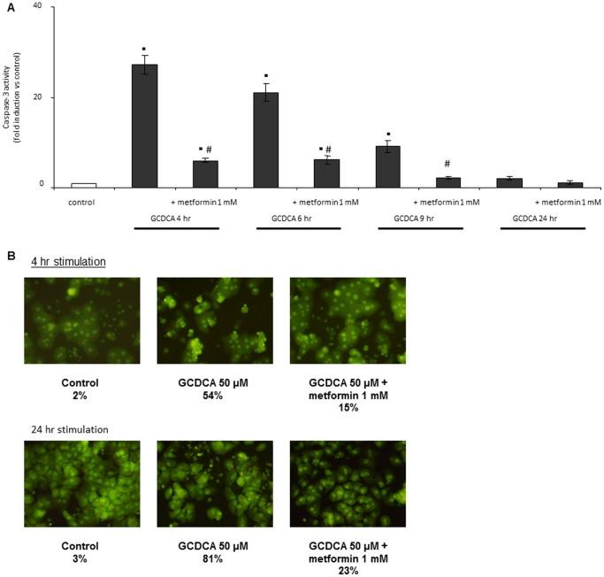 https://cdn.ncbi.nlm.nih.gov/pmc/blobs/24d0/3741108/3c1c067185e9/pone.0071773.g002.jpg