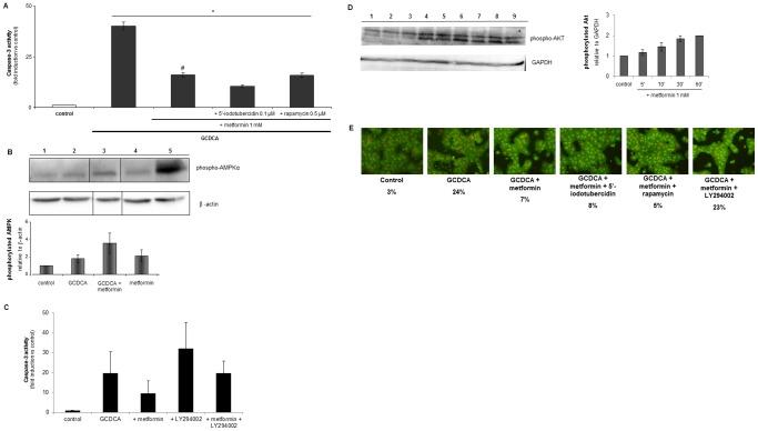 https://cdn.ncbi.nlm.nih.gov/pmc/blobs/24d0/3741108/fa33078de6e1/pone.0071773.g005.jpg