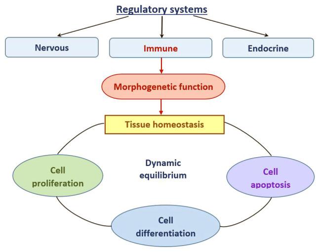 https://cdn.ncbi.nlm.nih.gov/pmc/blobs/24d1/9073577/525c799b5bcf/ol-23-06-13310-g01.jpg