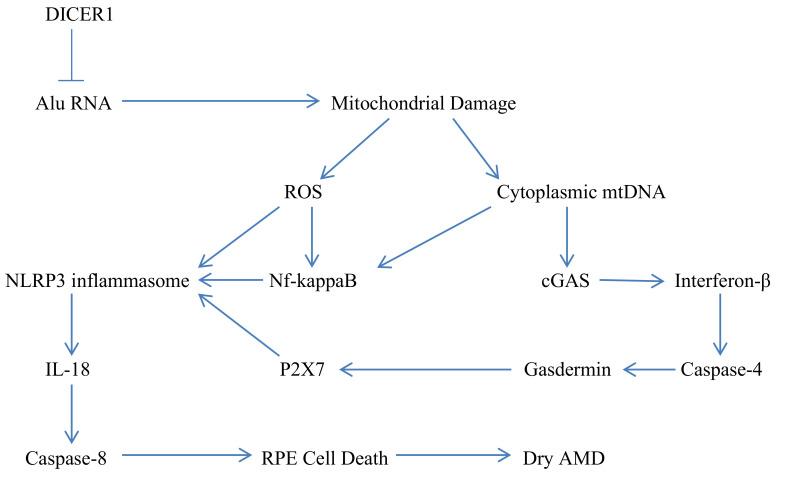 https://cdn.ncbi.nlm.nih.gov/pmc/blobs/24d2/9104458/3b0028f6c978/nutrients-14-01985-g001.jpg