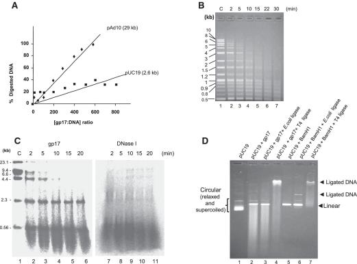 https://cdn.ncbi.nlm.nih.gov/pmc/blobs/24d3/3074133/388ea6190b66/gkq1191f2.jpg