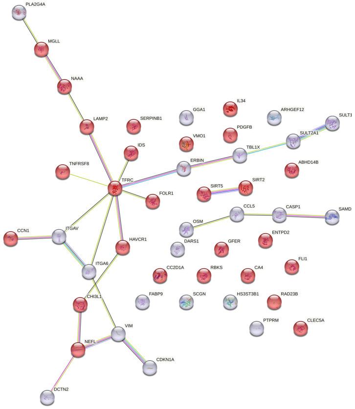 https://cdn.ncbi.nlm.nih.gov/pmc/blobs/24d5/11764106/5f23f7f946d1/brainsci-15-00076-g001.jpg