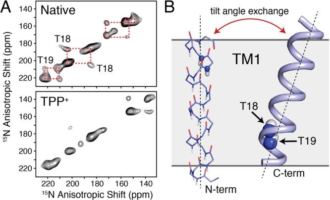 https://cdn.ncbi.nlm.nih.gov/pmc/blobs/24d8/4063181/4d32be7c7210/ja-2014-03145x_0006.jpg