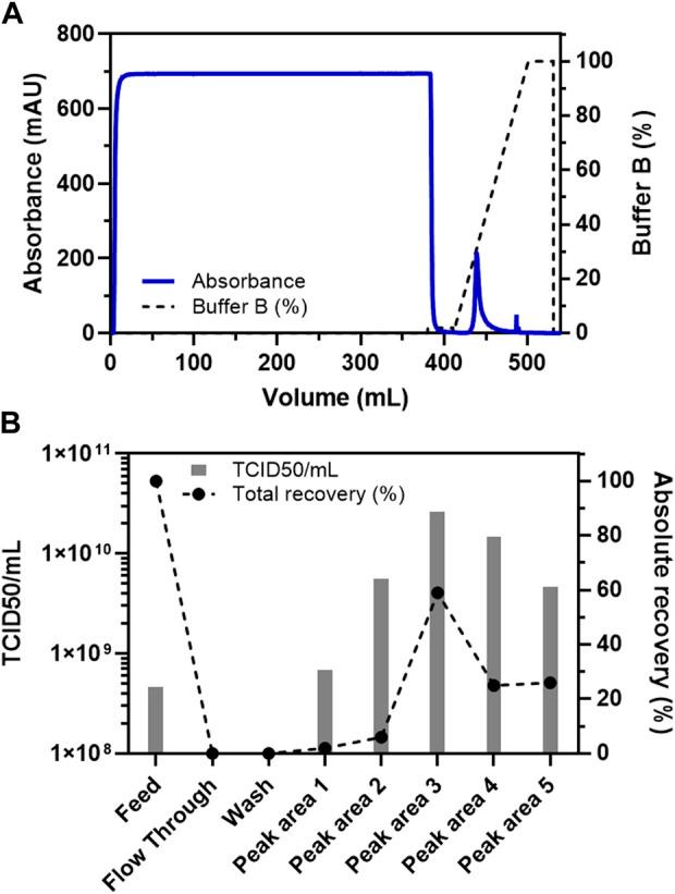 https://cdn.ncbi.nlm.nih.gov/pmc/blobs/24d8/9649487/1aa44acef31d/fbioe-10-992069-g001.jpg