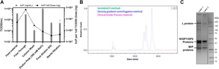 https://cdn.ncbi.nlm.nih.gov/pmc/blobs/24d8/9649487/89502d1cc045/fbioe-10-992069-g003.jpg