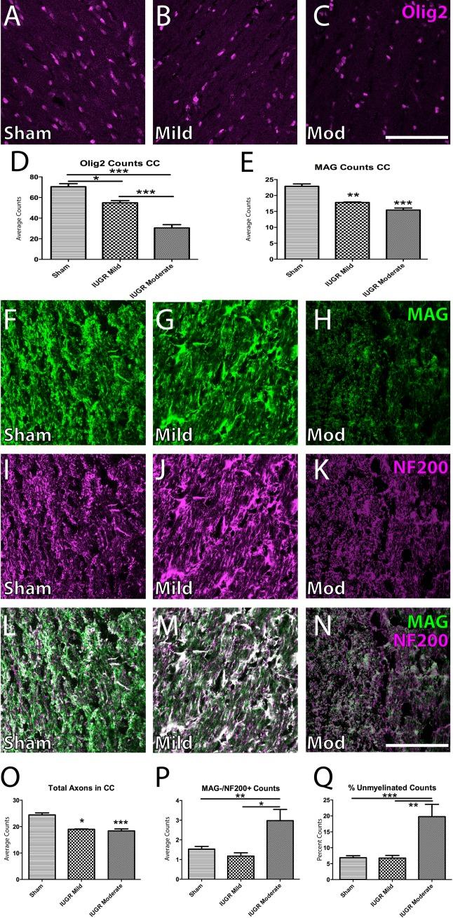 https://cdn.ncbi.nlm.nih.gov/pmc/blobs/24d9/5608203/d01eda28cf0b/pone.0184653.g003.jpg