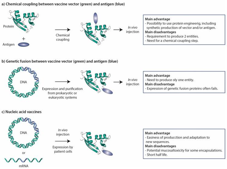 https://cdn.ncbi.nlm.nih.gov/pmc/blobs/24da/8948715/7b7bdee6b56c/toxins-14-00202-g003.jpg