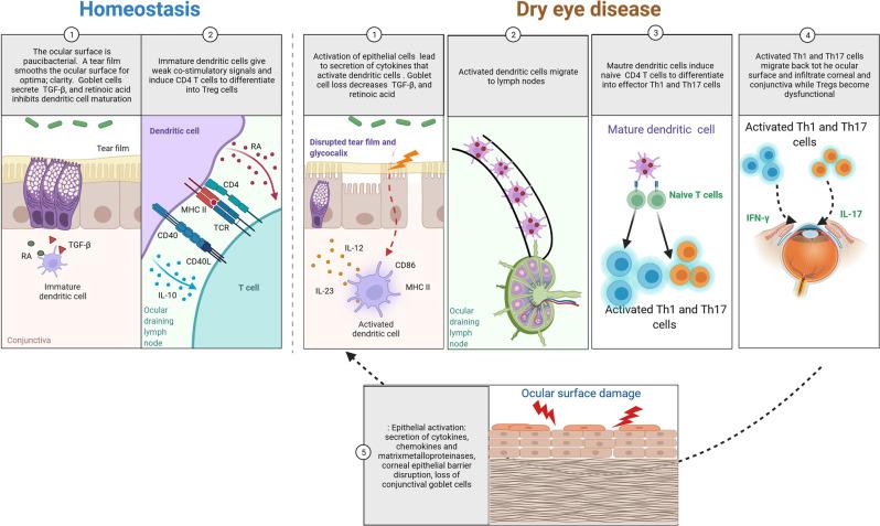 https://cdn.ncbi.nlm.nih.gov/pmc/blobs/24da/9400566/1e9074be02e2/41385_2022_551_Fig4_HTML.jpg