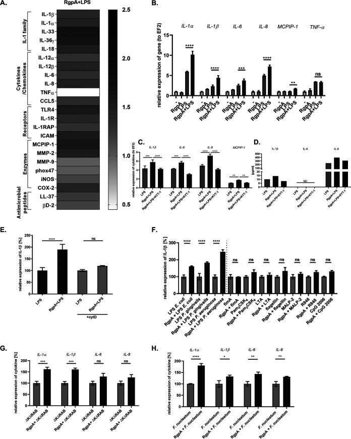 https://cdn.ncbi.nlm.nih.gov/pmc/blobs/24dc/8262937/3581922fe61b/mbio.00502-21-f004.jpg