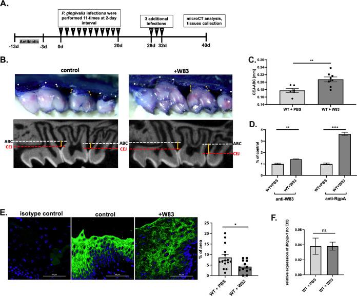 https://cdn.ncbi.nlm.nih.gov/pmc/blobs/24dc/8262937/407a903365ab/mbio.00502-21-f001.jpg