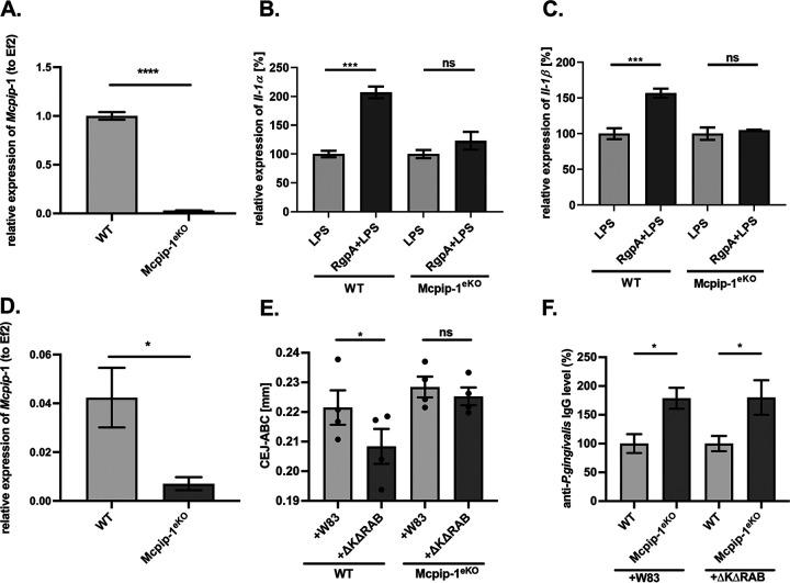 https://cdn.ncbi.nlm.nih.gov/pmc/blobs/24dc/8262937/66ef6f56a1bc/mbio.00502-21-f005.jpg