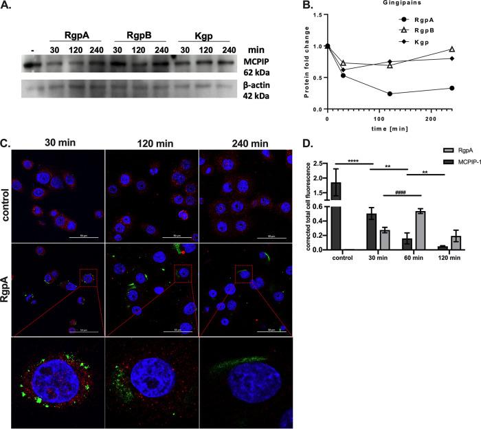 https://cdn.ncbi.nlm.nih.gov/pmc/blobs/24dc/8262937/d284f0bedae1/mbio.00502-21-f003.jpg