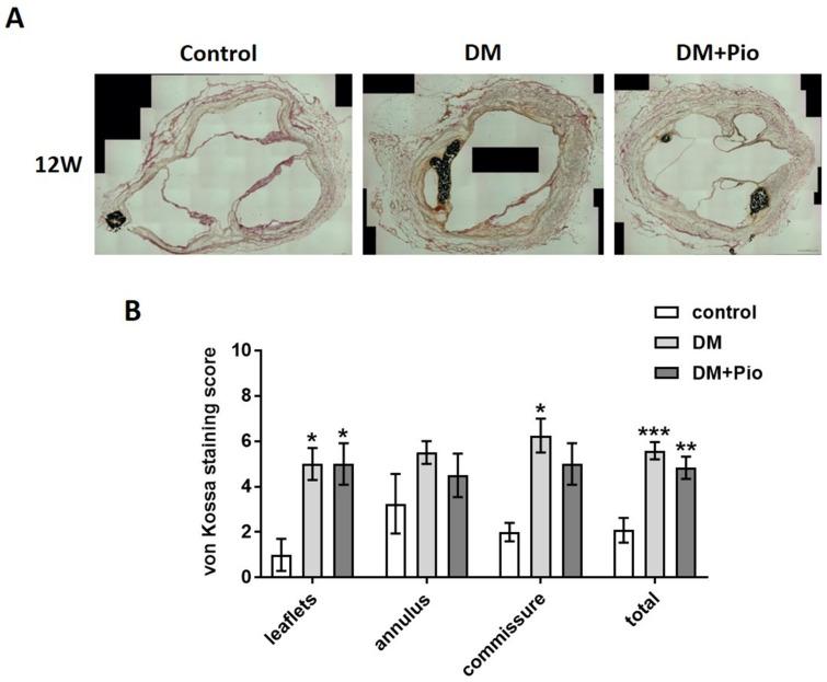 https://cdn.ncbi.nlm.nih.gov/pmc/blobs/24e0/8538504/c09f4d328fed/ijms-22-11081-g005.jpg