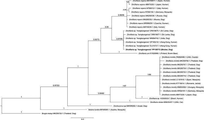 https://cdn.ncbi.nlm.nih.gov/pmc/blobs/24e1/11238191/10bd7c793eba/gr3.jpg
