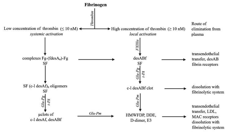 https://cdn.ncbi.nlm.nih.gov/pmc/blobs/24e3/10797241/3e9447156bc9/CroatMedJ_64_0421-F3.jpg
