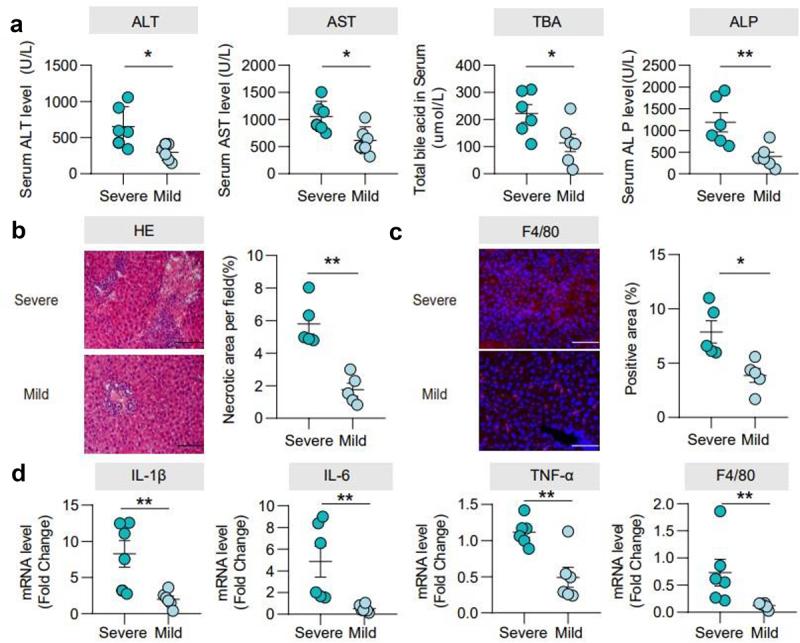 https://cdn.ncbi.nlm.nih.gov/pmc/blobs/24e7/11364073/2afeb986b234/KGMI_A_2390176_F0001_OC.jpg
