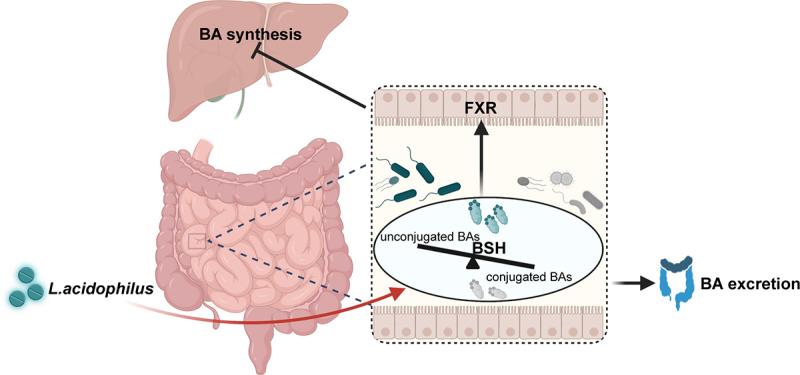 https://cdn.ncbi.nlm.nih.gov/pmc/blobs/24e7/11364073/dbcd038810b5/KGMI_A_2390176_F0008_OC.jpg