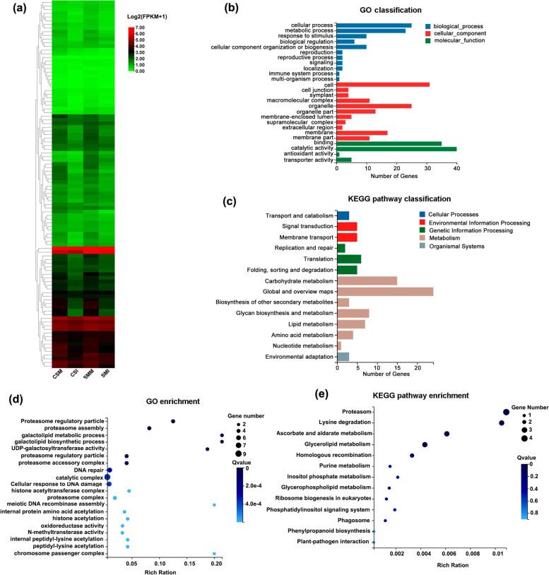 https://cdn.ncbi.nlm.nih.gov/pmc/blobs/24e7/8722339/de5b7e82e536/12870_2021_3393_Fig5_HTML.jpg