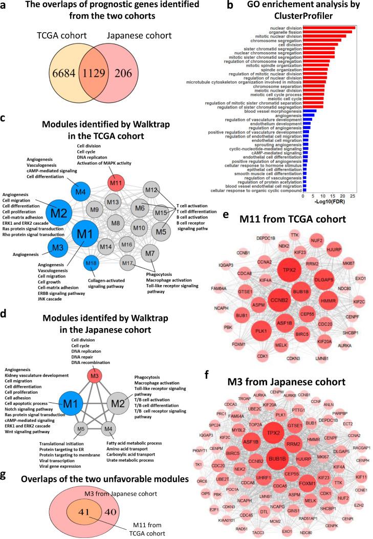 https://cdn.ncbi.nlm.nih.gov/pmc/blobs/24e8/8960981/383820bd4813/gr2.jpg