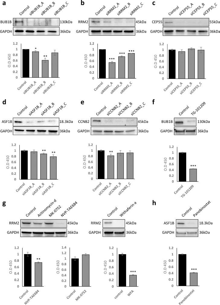 https://cdn.ncbi.nlm.nih.gov/pmc/blobs/24e8/8960981/f03af053c56a/gr6.jpg