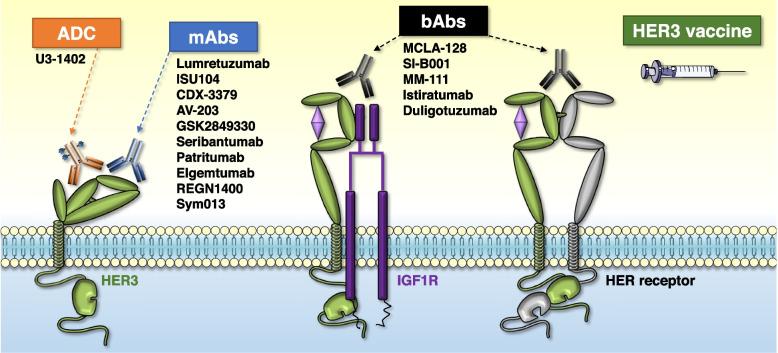 https://cdn.ncbi.nlm.nih.gov/pmc/blobs/24e9/9585794/30a0fbdcf184/13046_2022_2515_Fig2_HTML.jpg