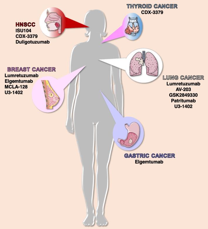 https://cdn.ncbi.nlm.nih.gov/pmc/blobs/24e9/9585794/85bb64ecf361/13046_2022_2515_Fig3_HTML.jpg