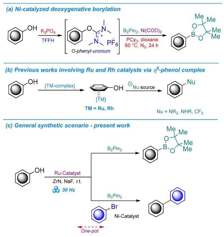 https://cdn.ncbi.nlm.nih.gov/pmc/blobs/24ea/12029765/13f92b447b2a/molecules-30-01835-sch001.jpg