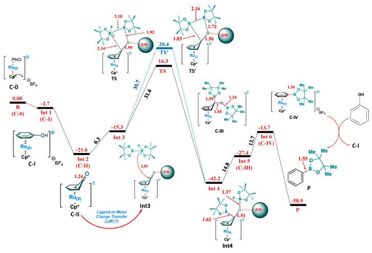 https://cdn.ncbi.nlm.nih.gov/pmc/blobs/24ea/12029765/7008d012bea7/molecules-30-01835-g002.jpg