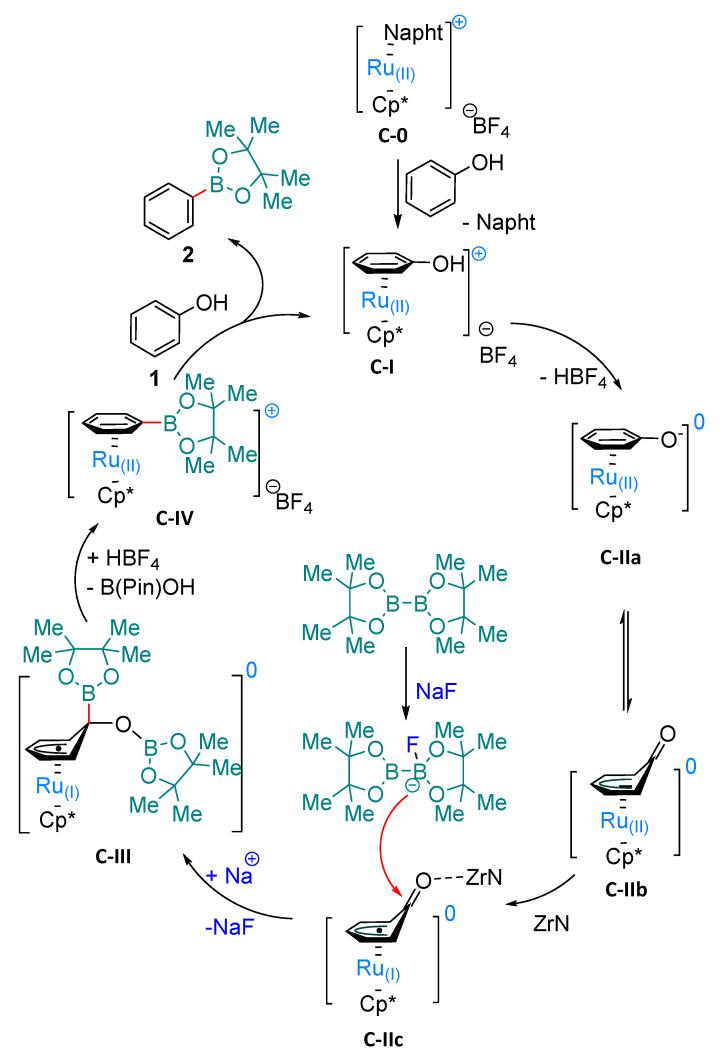 https://cdn.ncbi.nlm.nih.gov/pmc/blobs/24ea/12029765/fd041089fca0/molecules-30-01835-sch004.jpg