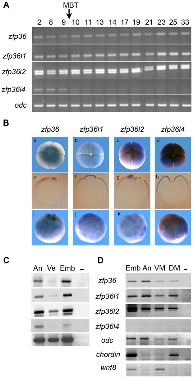 https://cdn.ncbi.nlm.nih.gov/pmc/blobs/24ea/3546996/87fcb5cbcae0/pone.0054550.g002.jpg