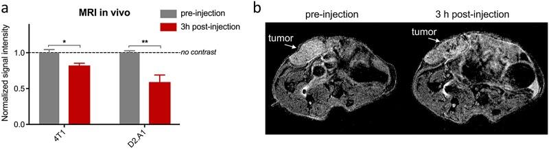 https://cdn.ncbi.nlm.nih.gov/pmc/blobs/24eb/6193613/5eb4e215f9db/pone.0204296.g004.jpg