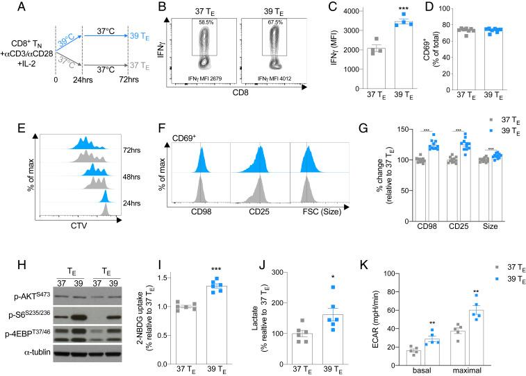 https://cdn.ncbi.nlm.nih.gov/pmc/blobs/24ec/8237659/fcf39c66c014/pnas.2023752118fig01.jpg