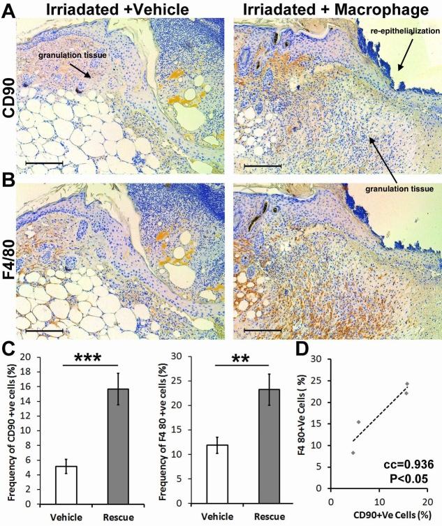 https://cdn.ncbi.nlm.nih.gov/pmc/blobs/24ec/8947831/2c23452d8bfa/AD-13-2-540-g4.jpg