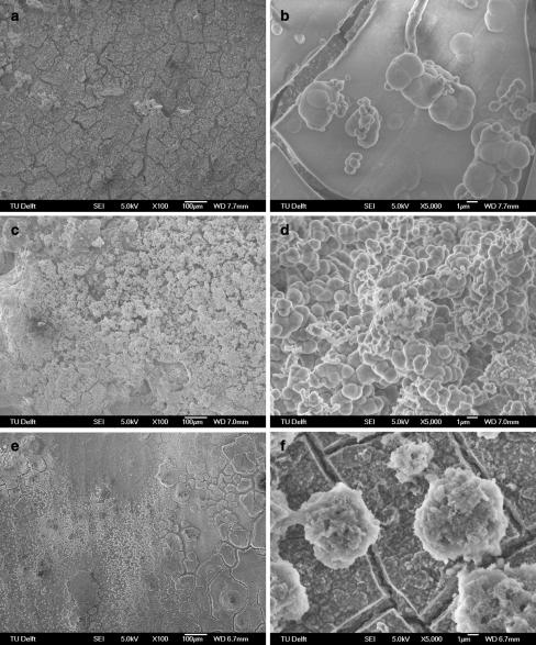 https://cdn.ncbi.nlm.nih.gov/pmc/blobs/24ed/2935537/8c74bf717df6/10856_2010_4111_Fig5_HTML.jpg