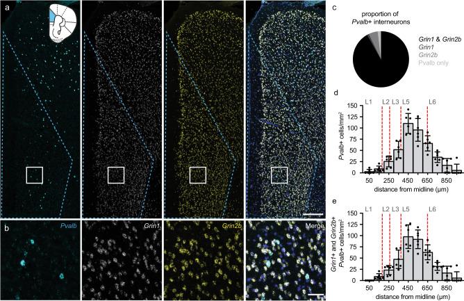 https://cdn.ncbi.nlm.nih.gov/pmc/blobs/24ef/9763122/3d4b012519ba/41380_2022_1747_Fig1_HTML.jpg