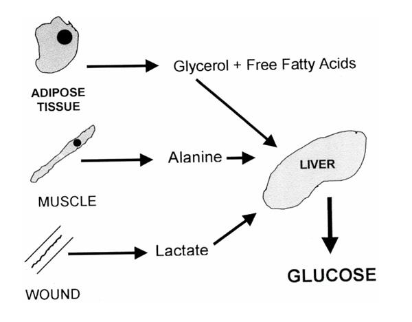 https://cdn.ncbi.nlm.nih.gov/pmc/blobs/24f3/137235/866e363b903f/cc360-1.jpg