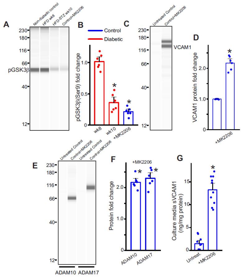 https://cdn.ncbi.nlm.nih.gov/pmc/blobs/24f5/10531890/e4879d30b64a/ijms-24-14105-g004.jpg