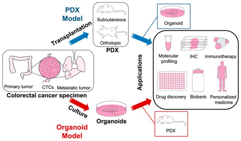 https://cdn.ncbi.nlm.nih.gov/pmc/blobs/24f5/10779007/a3d14f7c4b29/ijms-25-00154-g005.jpg