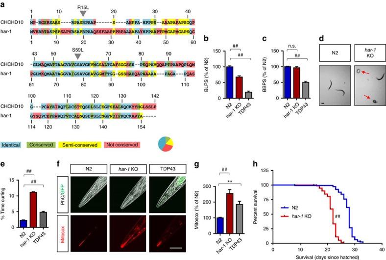 https://cdn.ncbi.nlm.nih.gov/pmc/blobs/24f6/5467170/1e79f07abcb0/ncomms15558-f1.jpg