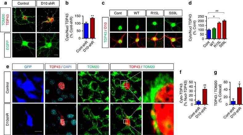 https://cdn.ncbi.nlm.nih.gov/pmc/blobs/24f6/5467170/c0b12db72f9e/ncomms15558-f6.jpg