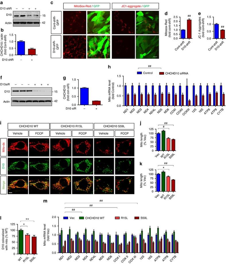https://cdn.ncbi.nlm.nih.gov/pmc/blobs/24f6/5467170/d7ffcc359d0e/ncomms15558-f3.jpg
