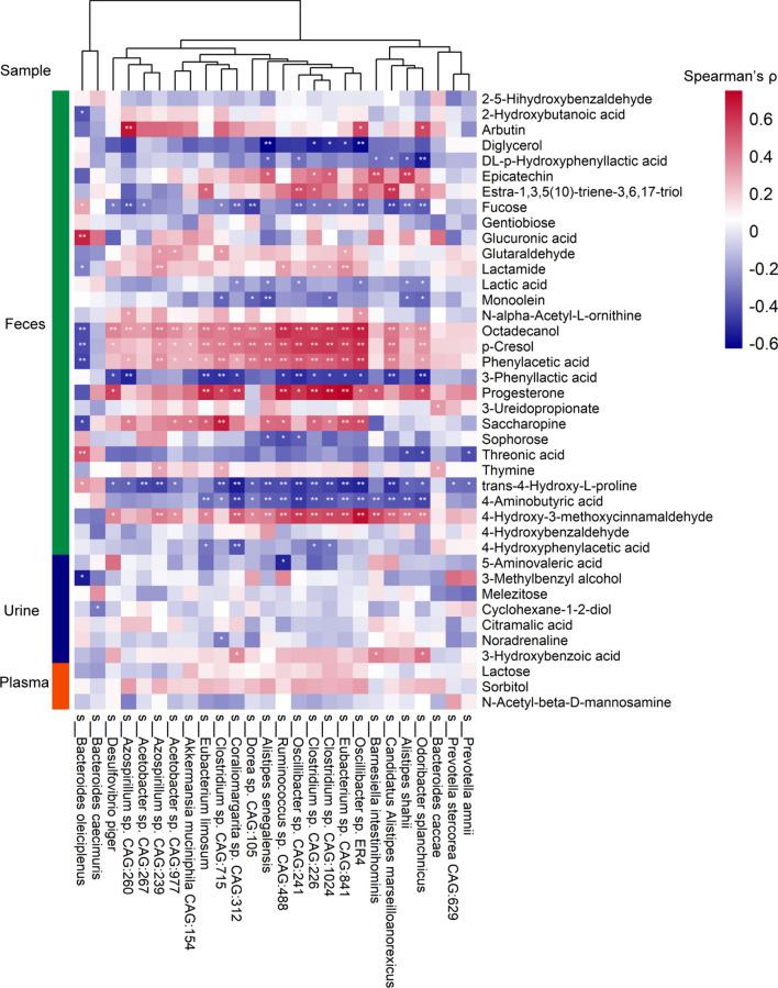 https://cdn.ncbi.nlm.nih.gov/pmc/blobs/24f6/9548195/69d609c7a816/12967_2022_3669_Fig7_HTML.jpg