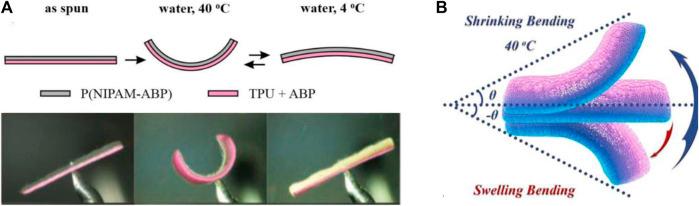 https://cdn.ncbi.nlm.nih.gov/pmc/blobs/24f9/8200850/9b404e1f0c34/fchem-09-650358-g005.jpg