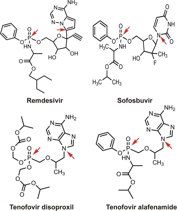 https://cdn.ncbi.nlm.nih.gov/pmc/blobs/24fa/8591673/653087d2c184/44149_2021_17_Fig1_HTML.jpg
