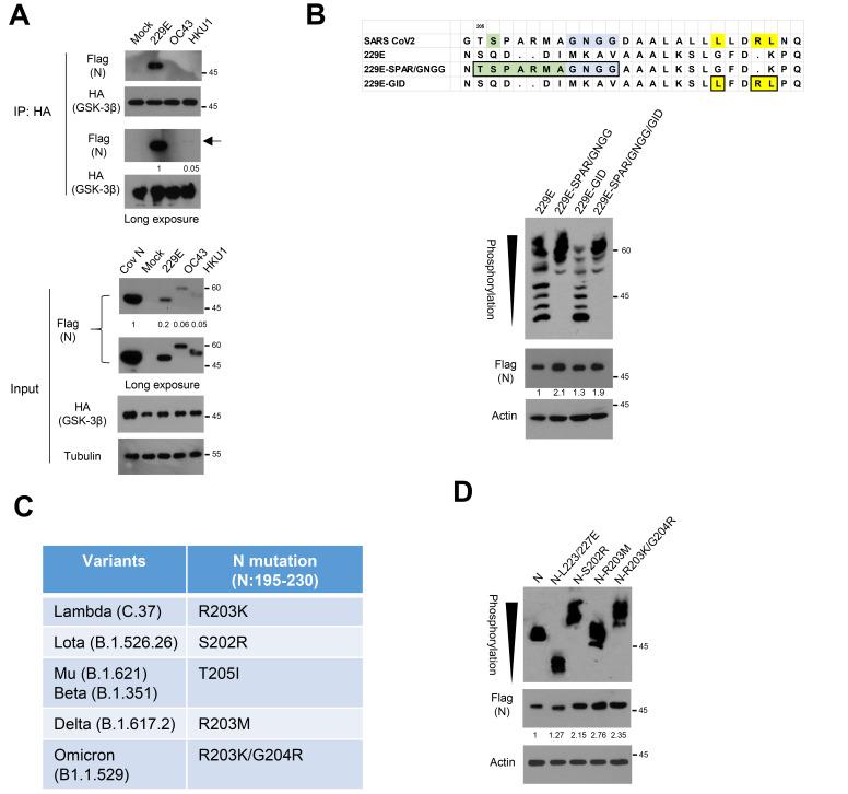 https://cdn.ncbi.nlm.nih.gov/pmc/blobs/24fb/9794558/8412fd139fac/molce-45-12-911-f5.jpg